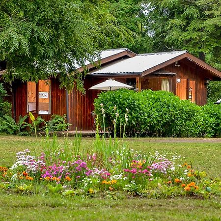 Cabanas Aylen Pucon Exterior photo