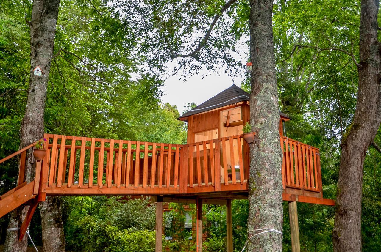 Cabanas Aylen Pucon Exterior photo