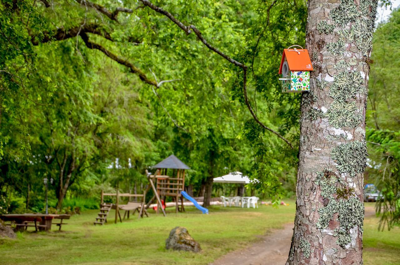 Cabanas Aylen Pucon Exterior photo